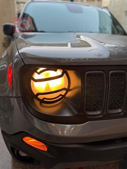 جيب رينيجيد